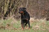 BEAUCERON 1002